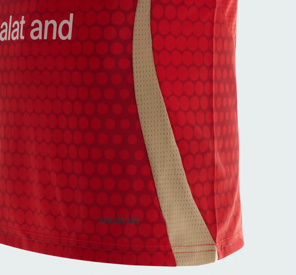 Al Ahly 2024 home jersey for men product view 4