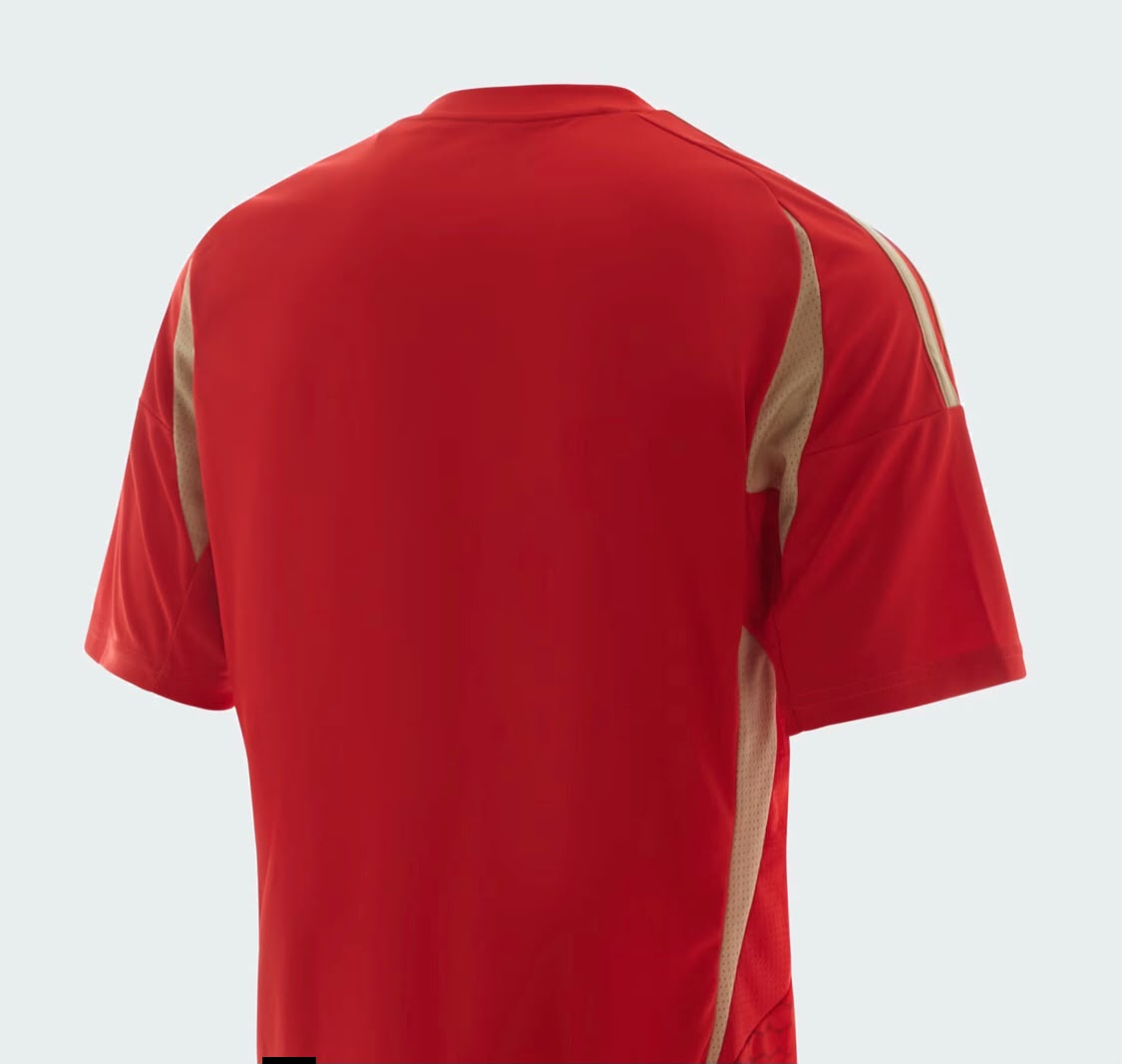 Al Ahly 2024 home jersey for men back view