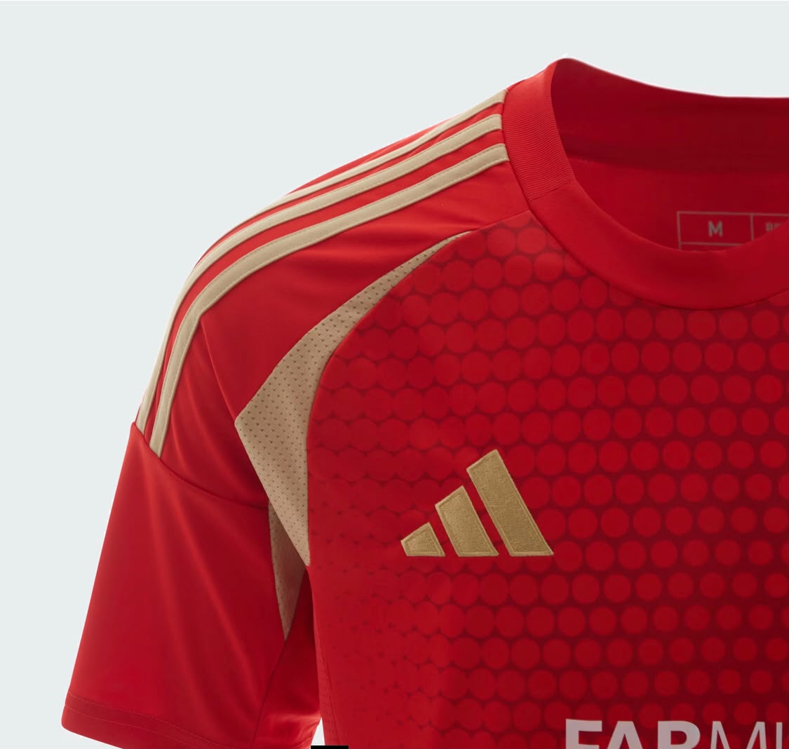 Al Ahly 2024 home jersey for men detail view